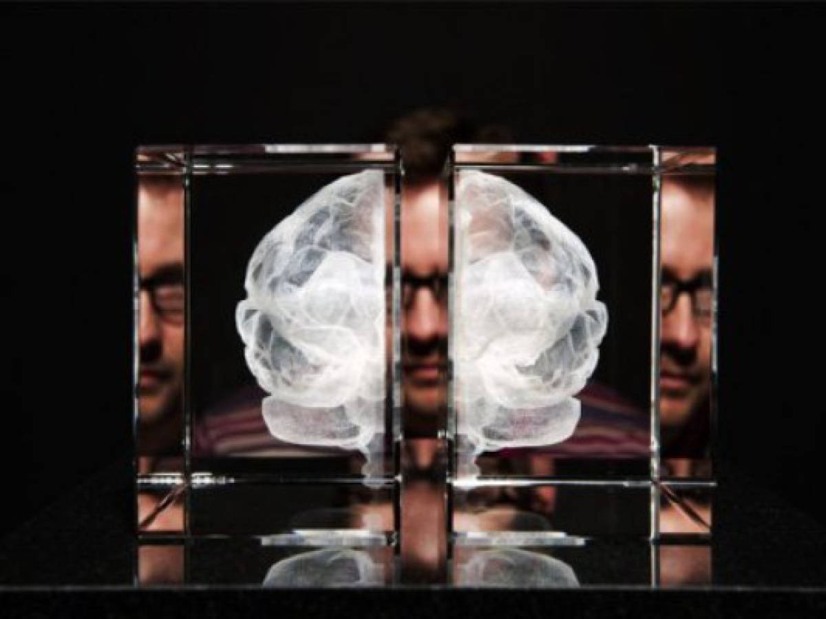 Estudiar idiomas mantiene joven al cerebro