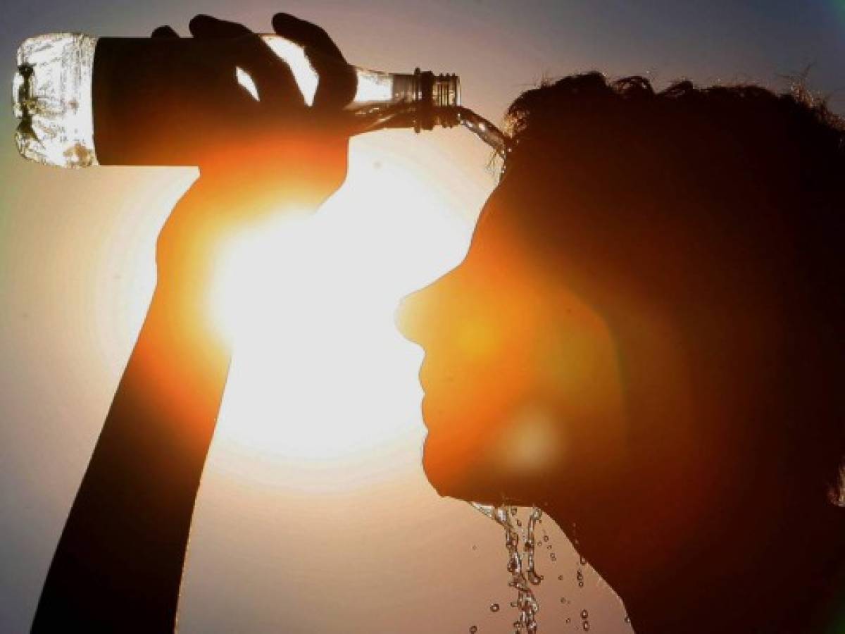 Altas temperaturas globales del primer semestre rompen récord