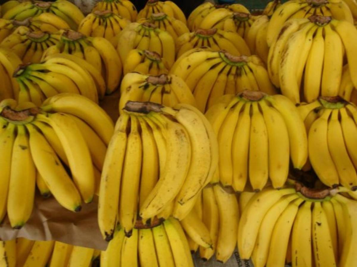 Guatemala: banano supera al café como producto de exportación