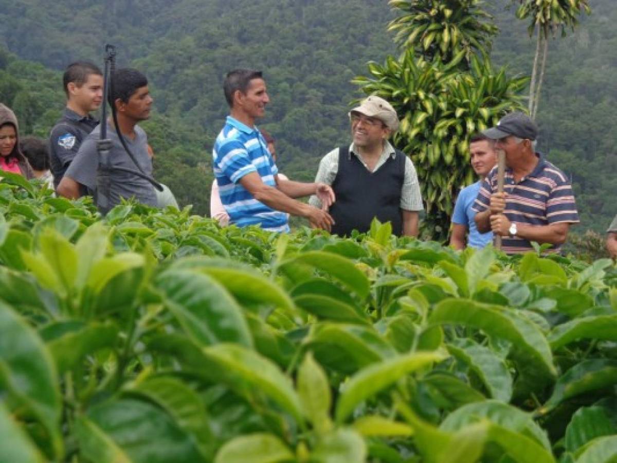 ﻿Fundecooperación destaca en premios Latinoamérica verde