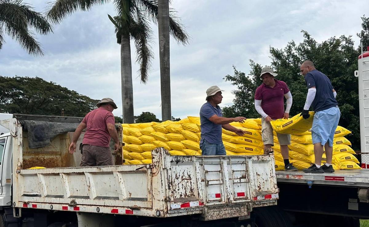 <i>Durante los próximos tres años, LAICA prevé mantener el acompañamiento técnico y la incorporación de nuevas tecnologías, con la meta de que los productores cuenten con mayores herramientas. Foto de cortesía</i>
