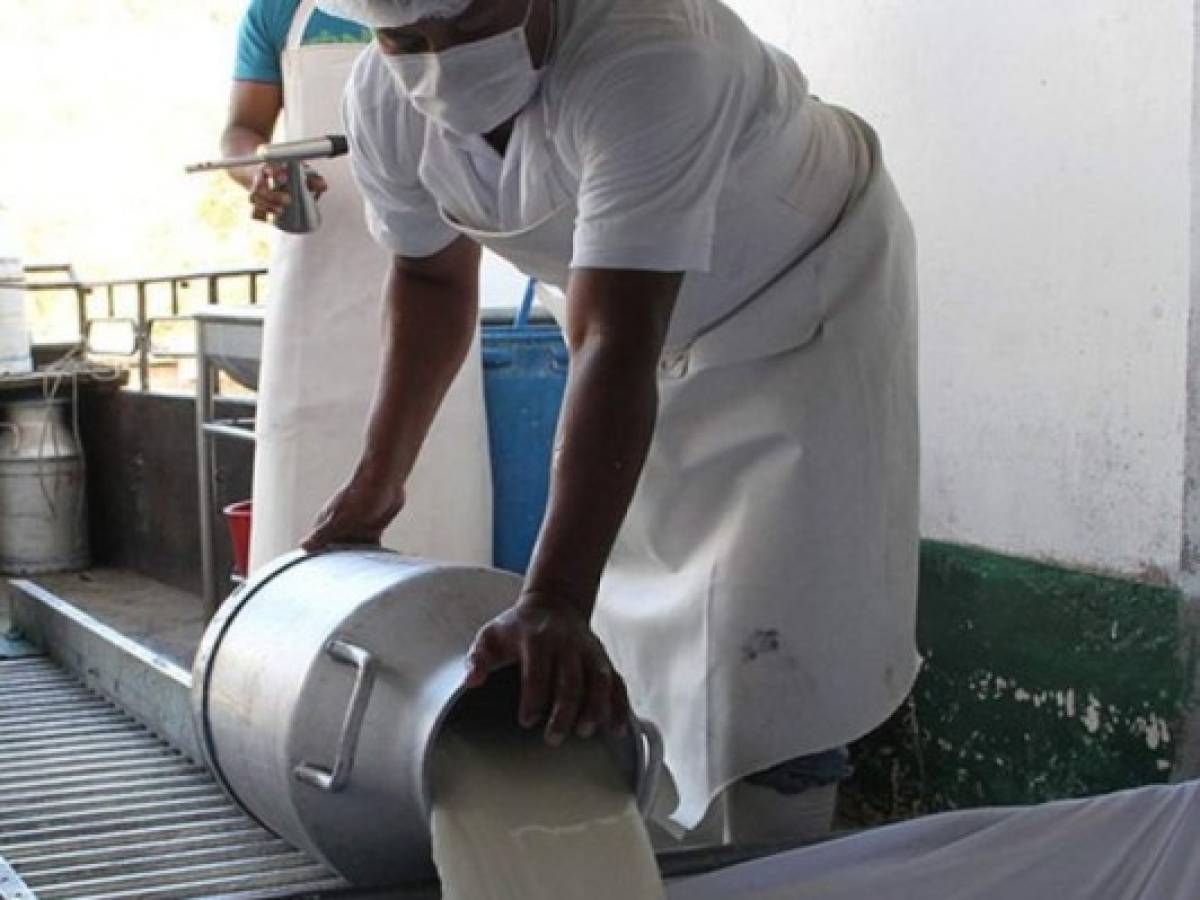 ¿Comienza 'guerra de la leche' entre Honduras y Nicaragua?