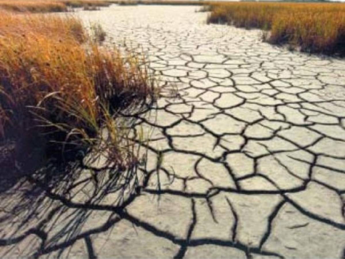 Cambio climático causaría 'megasequías' más duras y extensas