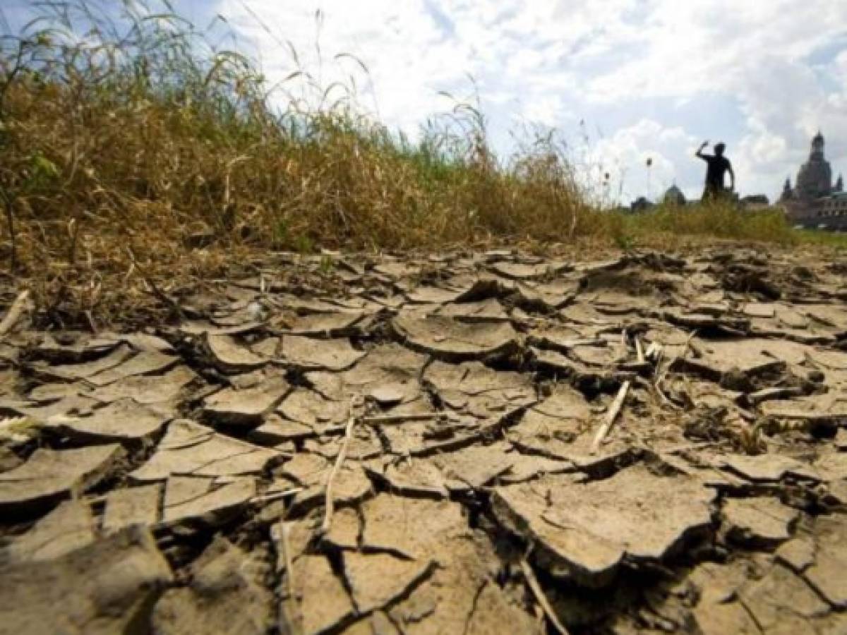 Crece preocupación por sequía en Centroamérica