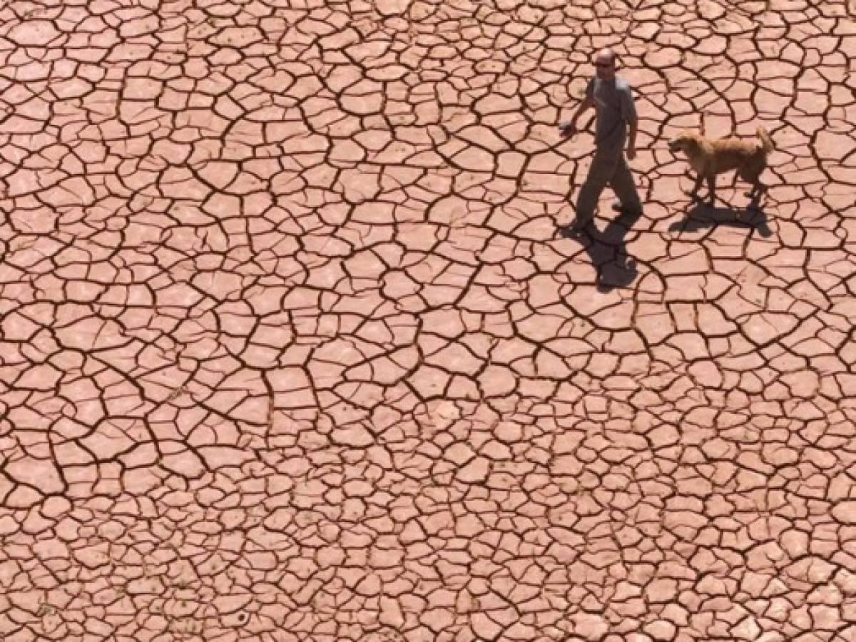 El mundo será 10% más pobre si no se frena el cambio climático