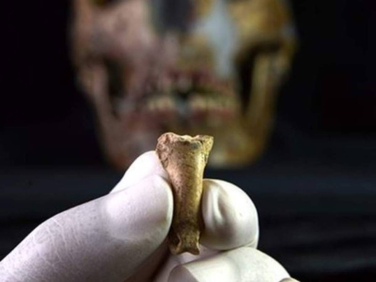Este sería el último collar hecho por neandertales