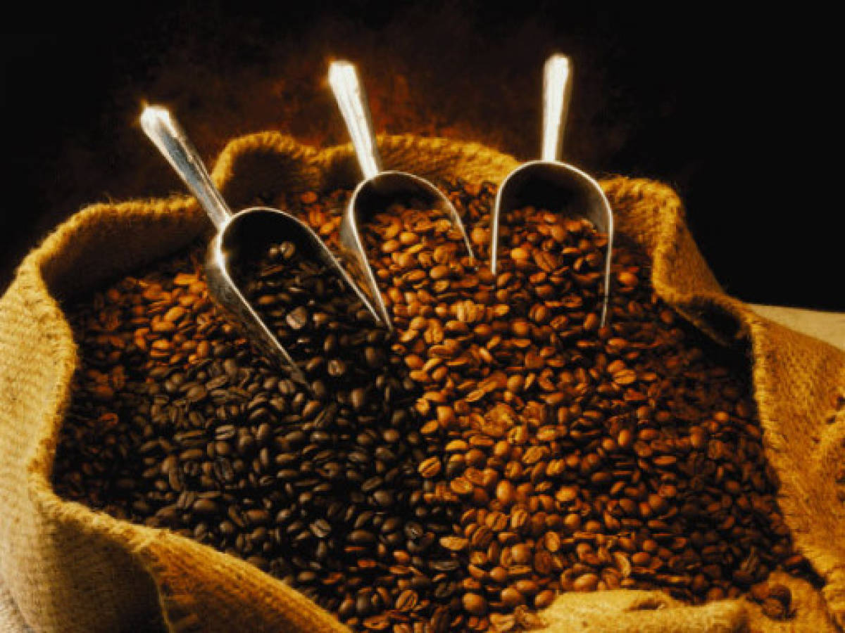 Honduras dejará de percibir US$200M por caída del precio del café