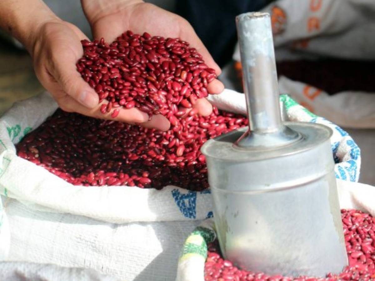 Nicaragua importará frijoles rojos sin aranceles