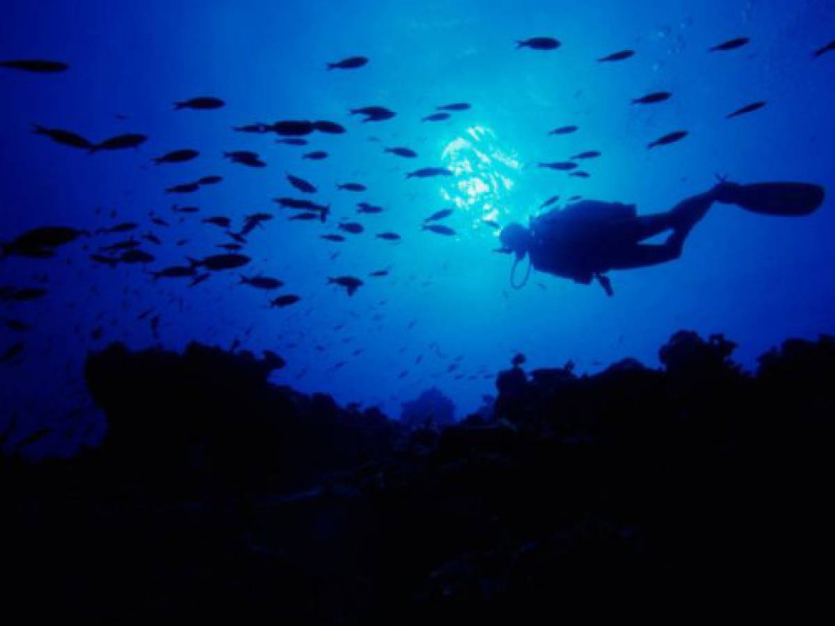 Buceo para dejarlo sin aliento en Honduras