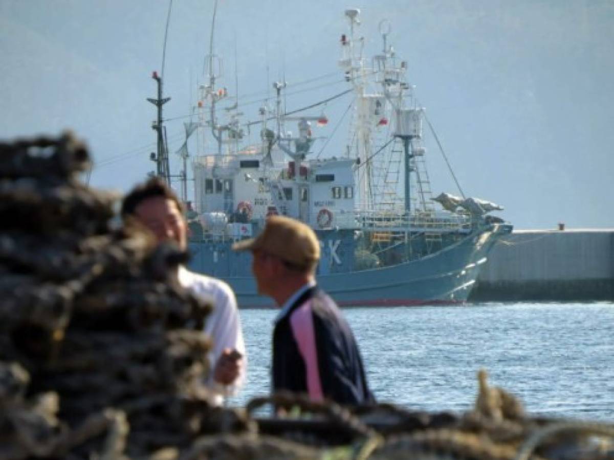 Japón retomará oficialmente la caza comercial de ballenas