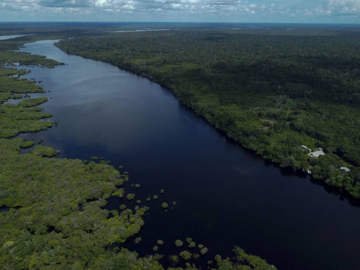 Presidente de Brasil llama a países ricos a financiar la preservación de la Amazonía