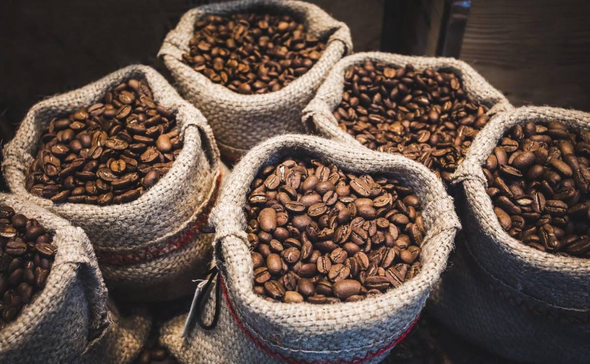 <i>Los ingresos acumulados por las exportaciones del café de El Salvador crecieron un 31,28 % en todo el ciclo 2024-2025 con US$175,04 millones. Foto de iStock</i>