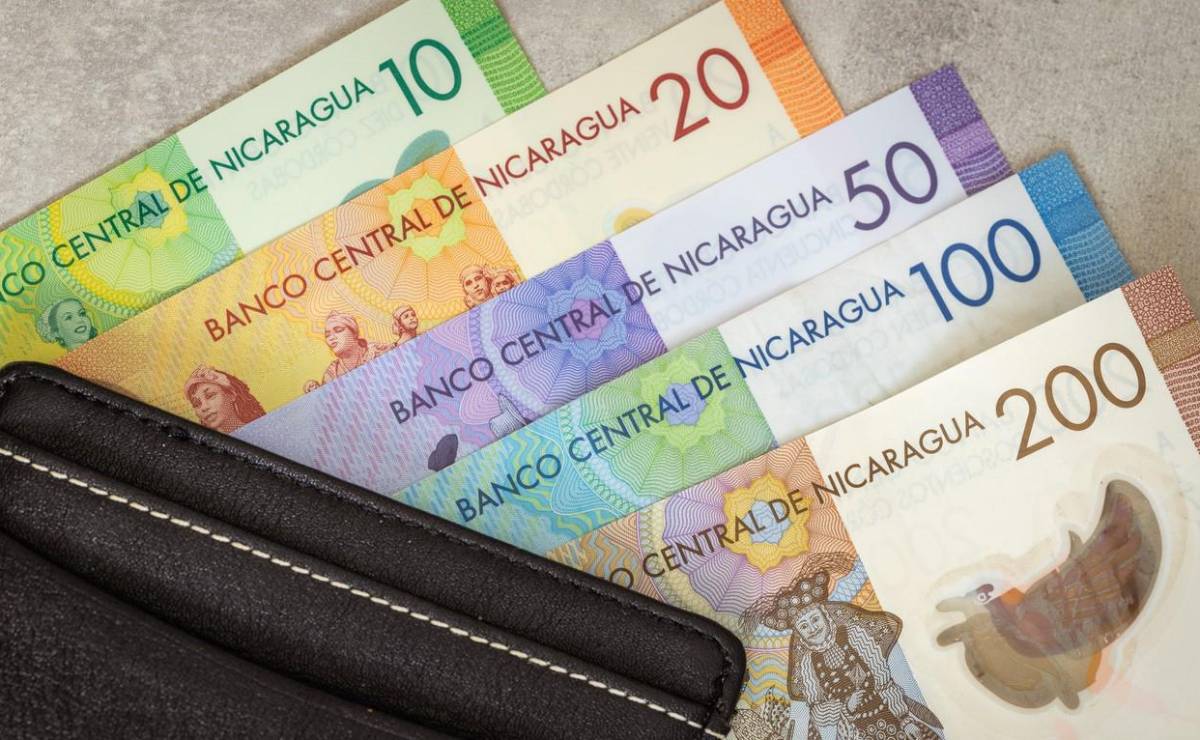 <i>Las reservas internacionales brutas del Banco Central de Nicaragua alcanzaron los US$9.887,6 millones hasta julio pasado. Foto de iStock</i>