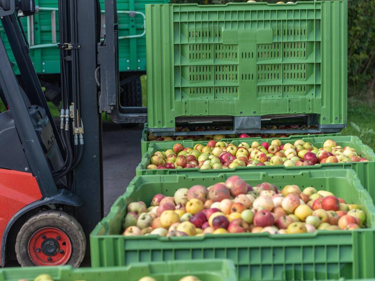 CAF aprueba préstamo de US$500 millones al Banco Nacional de Panamá para agro y Pymes