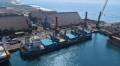 <i>A mediano y largo plazo, se proyectan terminales especializadas para contenedores, cruceros y líquidos, además de ampliar el muelle comercial existente. Foto de cortesía</i>