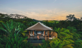 El hotel Nayara Resorts colabora con la reforestación del Parque Nacional Arenal y brindan refugio a perezosos y monos aulladores. Foto de cortesía