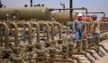 <i>Según Chevron, los planes de estas sociedades contemplan más que duplicar la producción en ese periodo, hasta aproximadamente 600.000 barriles diarios en comparación con la de 2026. Foto de cortesía</i>