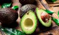 <i>La apertura de mercados en Asia es vista como una apuesta estratégica para el futuro del aguacate guatemalteco. Foto de iStock</i>