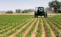 <i>El encarecimiento de los fertilizantes provocará un aumento en la inflación alimentaria. Foto de iStock</i>