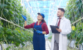 <i>Todos los profesionales de MB Agro se integrarán al equipo de EY. Foto de cortesía</i>