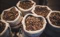 Colombia exportó 3.359 millones de sacos de café de 60 kilos en el primer trimestre de este año. Foto de istock
