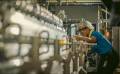 <i>FIFCO reportó que 41,95 % de su portafolio de bebidas corresponde a productos de baja graduación alcohólica, en línea con su programa de ´Consumo Inteligente´. FOTO CORTESÍAS / E&amp;N</i>