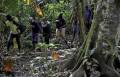 Récord de más de medio millón de migrantes han cruzado selva panameña