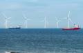China, con su experiencia en esta “batalla contra los elementos”, se posiciona como referente mundial en energía eólica marina. Foto de iStock