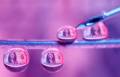 <i>Fotografía que muestra billetes de un dolar reflejados en gotas de agua este lunes, en San José (Costa Rica). EFE/ Jeffrey Arguedas</i>