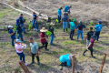 <i>Entre las especies plantadas destacan melina, cebo, teca, guaba, botarrama, espavel, laurel, roble coral, balsa y sotacaballo, muchas de ellas de gran valor ecológico, económico y cultural. Foto de cortesía</i>