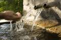 Las personas en los países menos adelantados tienen el doble de probabilidades que otras de carecer de acceso a agua potable y saneamiento básico. Foto de MireXa / Getty Images