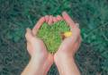 <i>Sustentabilidad silenciosa: las marcas que hacen sin decir (y ganan reputación real). FOTO CORTESÍA </i>