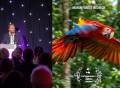 <i>El documental tiene como hilo conductor a Sofía, una cría de guacamaya roja cuya supervivencia permite acercarse a los riesgos que enfrentan las especies y sus hábitats. A la izquierda, el creador del documental, Sergio Izquierdo. (Fotos: Cortesía)</i>