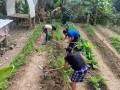 <i>El plan busca impulsar inversiones que generen resultados sostenibles para Honduras y convertir los recursos destinados al sector agroalimentario en una herramienta para transformar las condiciones de las familias rurales. Foto de cortesía</i>