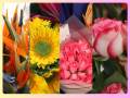 <i>Esta celebración representa una de las temporadas más significativas para los productores y exportadores de flores guatemaltecos. FOTO E&amp;N</i>
