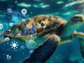 <i> El Blue Atlantic Forum, compilando principios de la WWF, insiste en que la economía azul sostenible debe ser holística, intersectorial y de largo plazo. FOTO REFERENCIA / E&amp;N</i>