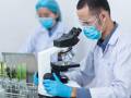 <i>Próspera espera acelerar el crecimiento del ecosistema biotecnológico hondureño y convertir al país en un actor relevante dentro de la industria regional de ciencias de la vida. Foto de iStock</i>