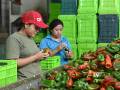 Walmart de México y Centroamérica impulsa una cadena de suministro sostenible y ética