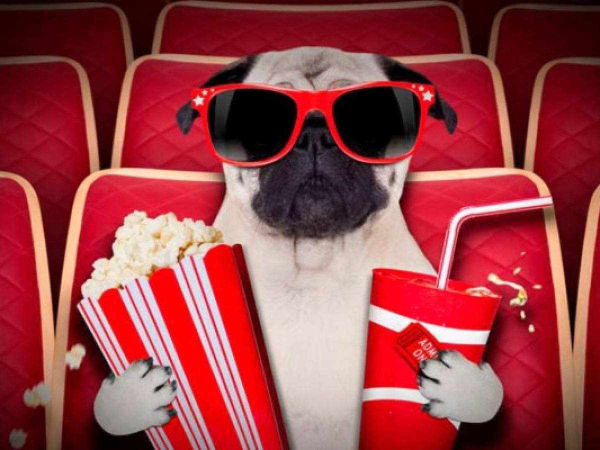 Buscan a alguien que vea 30 películas de Disney por US$1.000