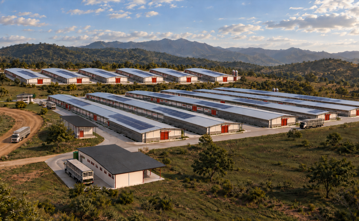 <i>El plan incluye nuevos galpones de engorde, fortaleciendo la integración de la cadena productiva de Avícola Campestre. Foto de cortesía</i>