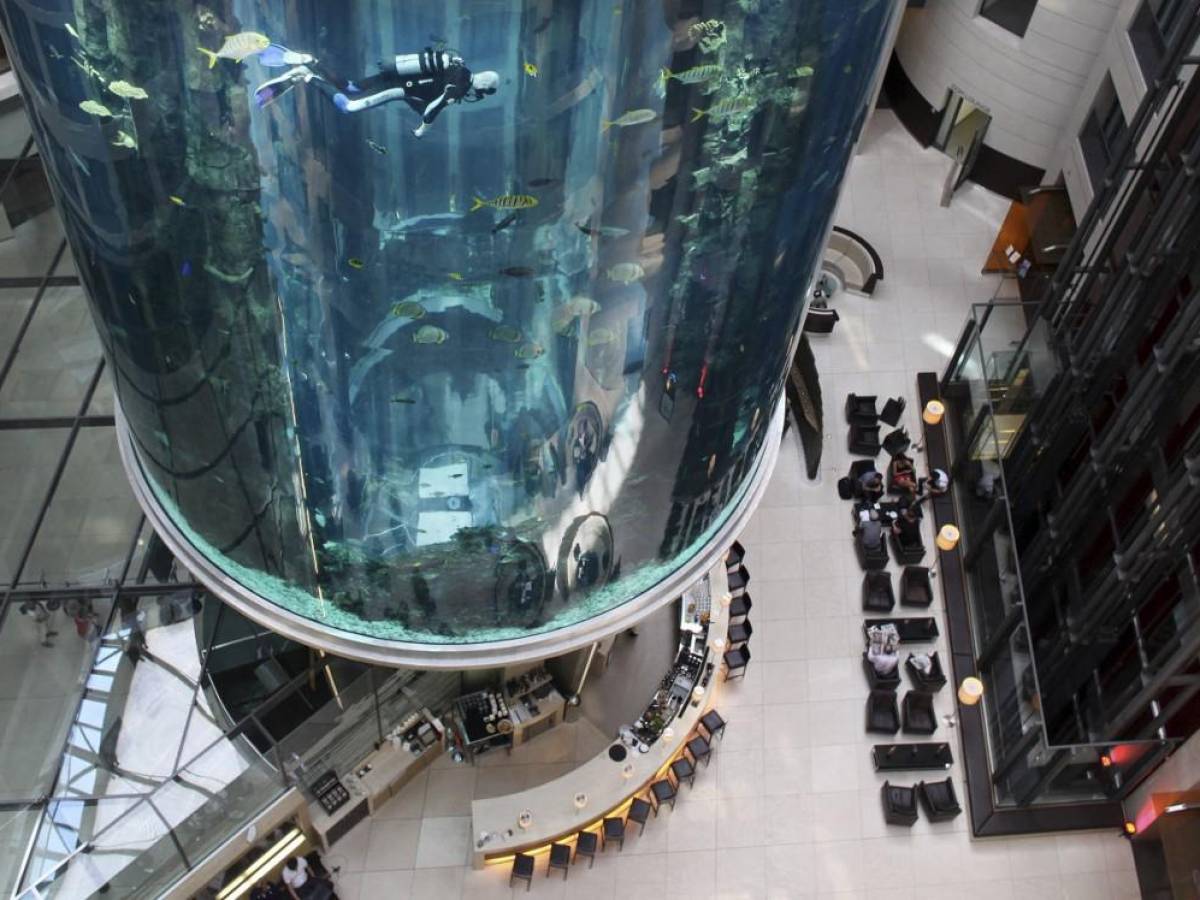 Acuario gigante de prestigioso hotel de Berlín estalló