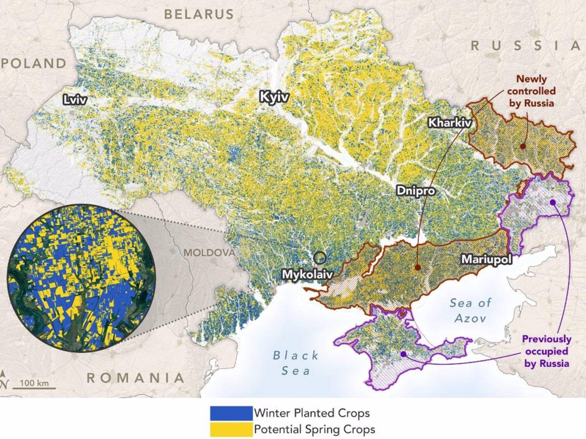 Rusia controla el 22% de las tierras de cultivo de Ucrania