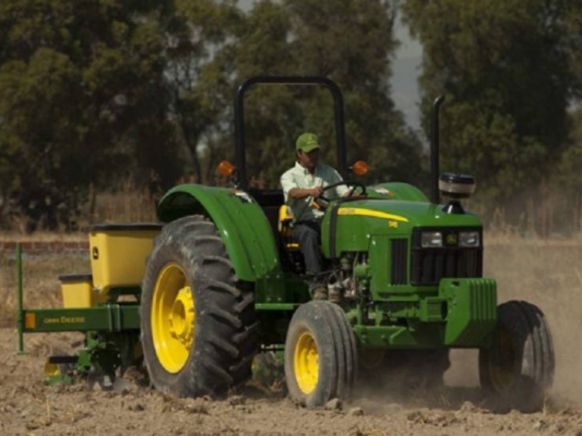 Agricultura y ganadería lastran crecimiento nicaragüense