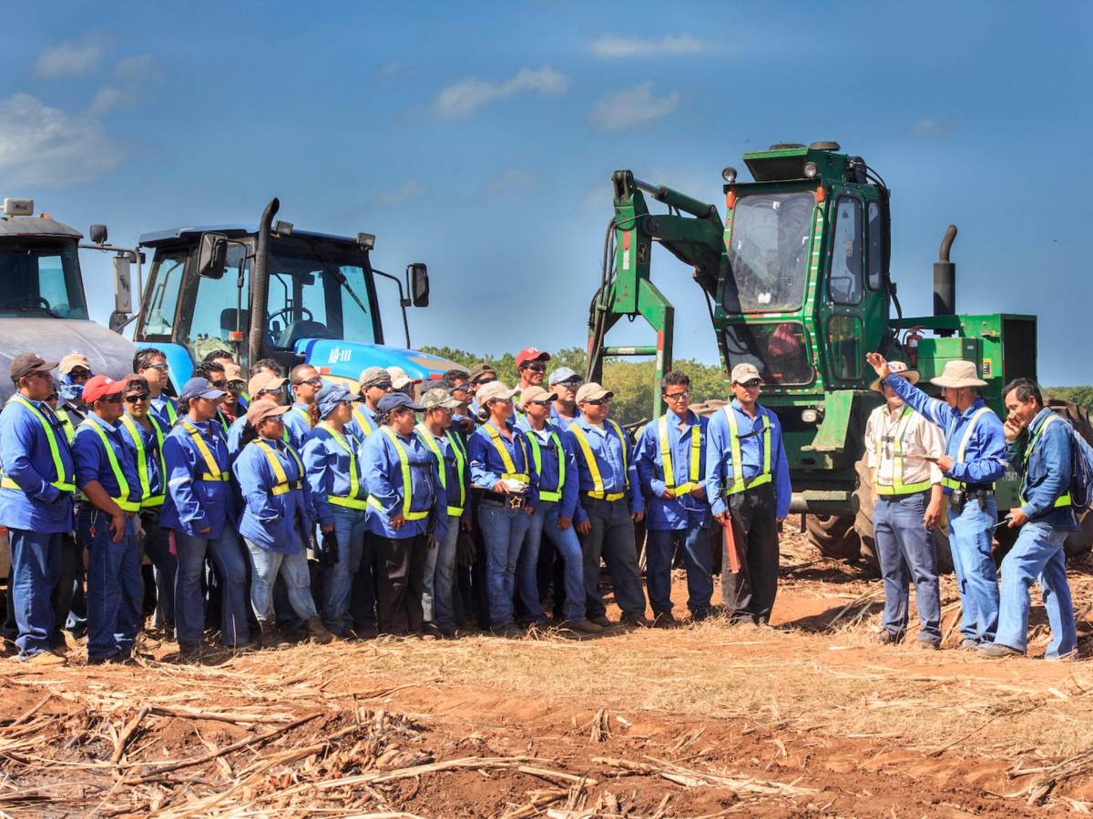 Nicaragua registró la zafra más dulce en 2021