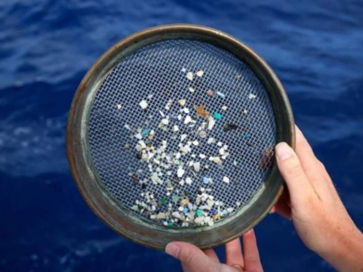 OMS: Microplásticos en agua potable no son un peligro sanitario