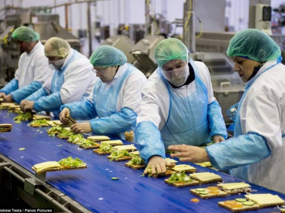 Sin inmigrantes, la fuerza laboral de EE.UU. se contraerá