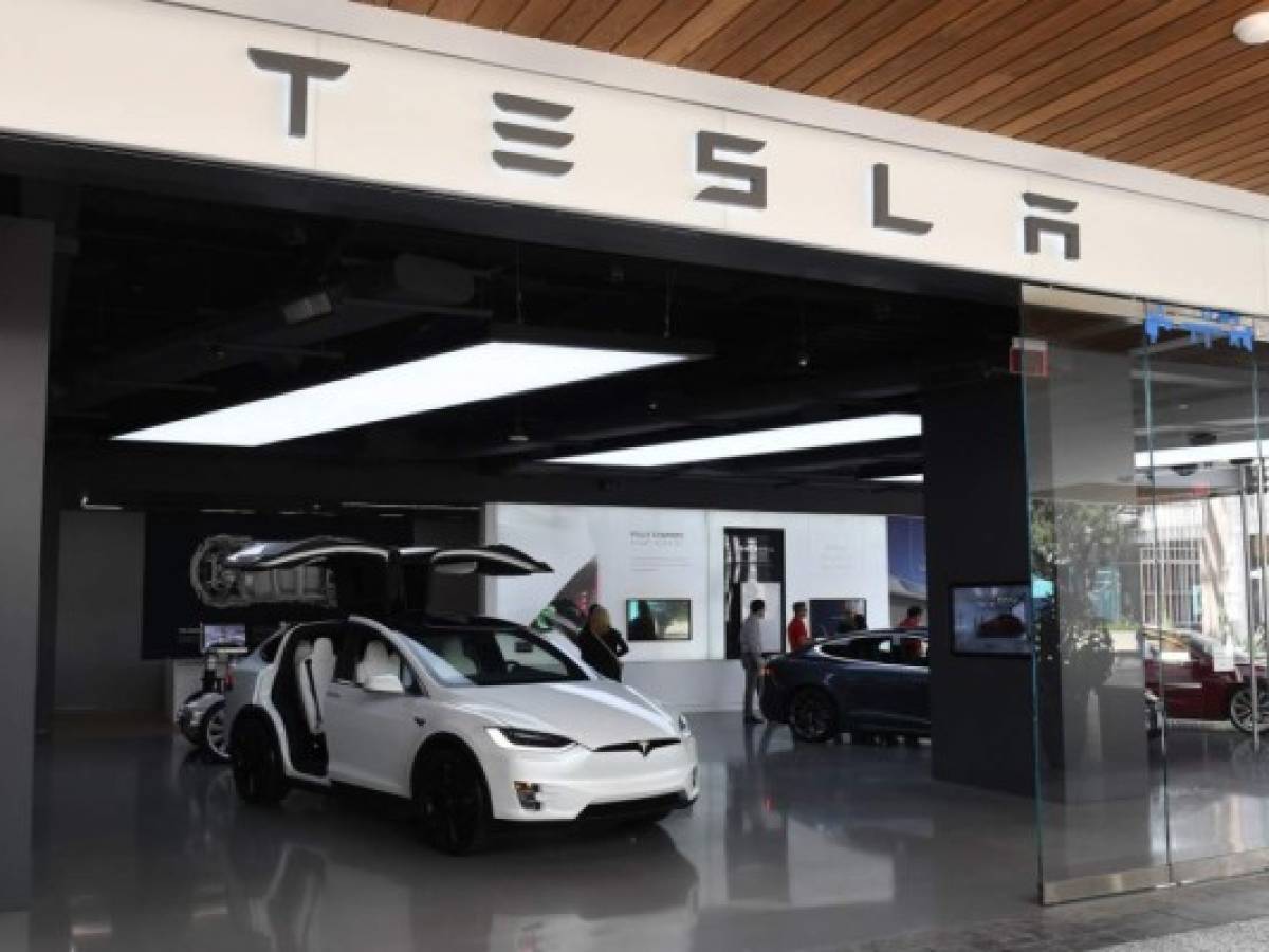 Tesla frena la construcción de la fábrica en Alemania por… hormigas