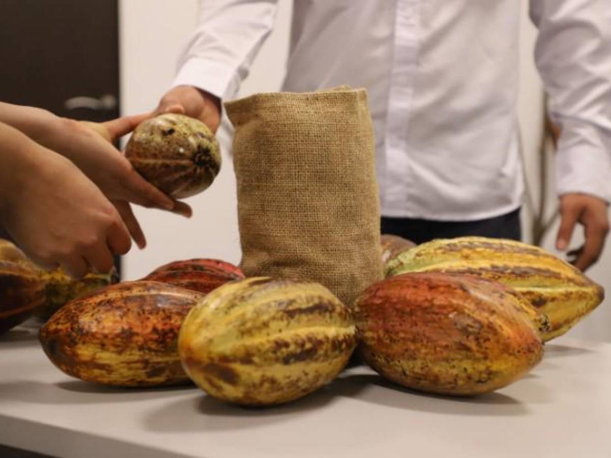 Guatemala dice presente en el Cacao of Excellence Awards 2023