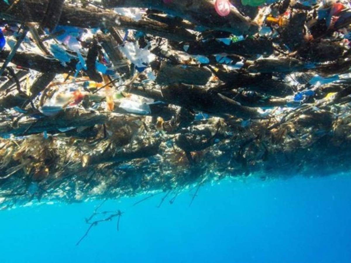 Isla de basura acecha a Roatán