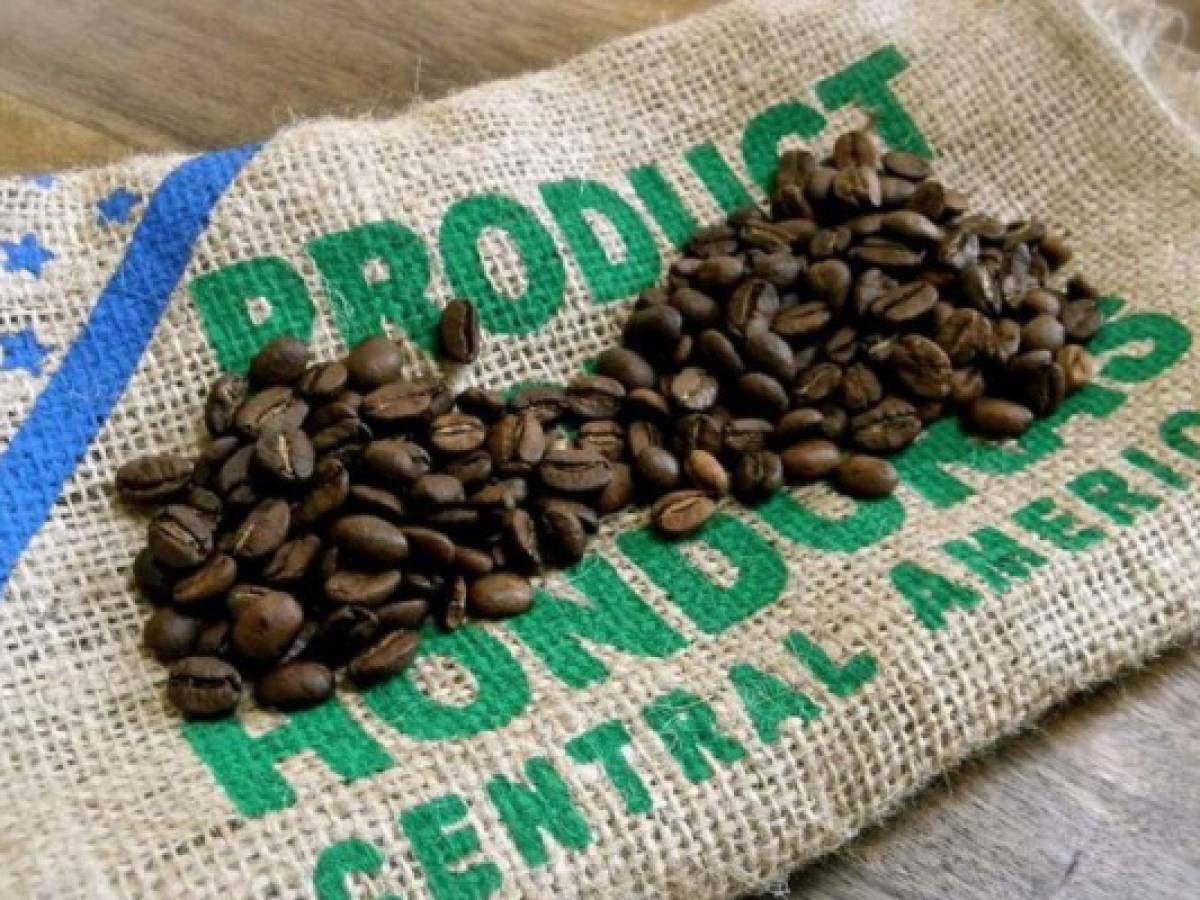 Honduras: Ingreso por exportaciones de café será menor a la cosecha pasada